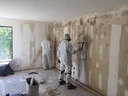 Best Attic Mold Removal  in Trappe, MD